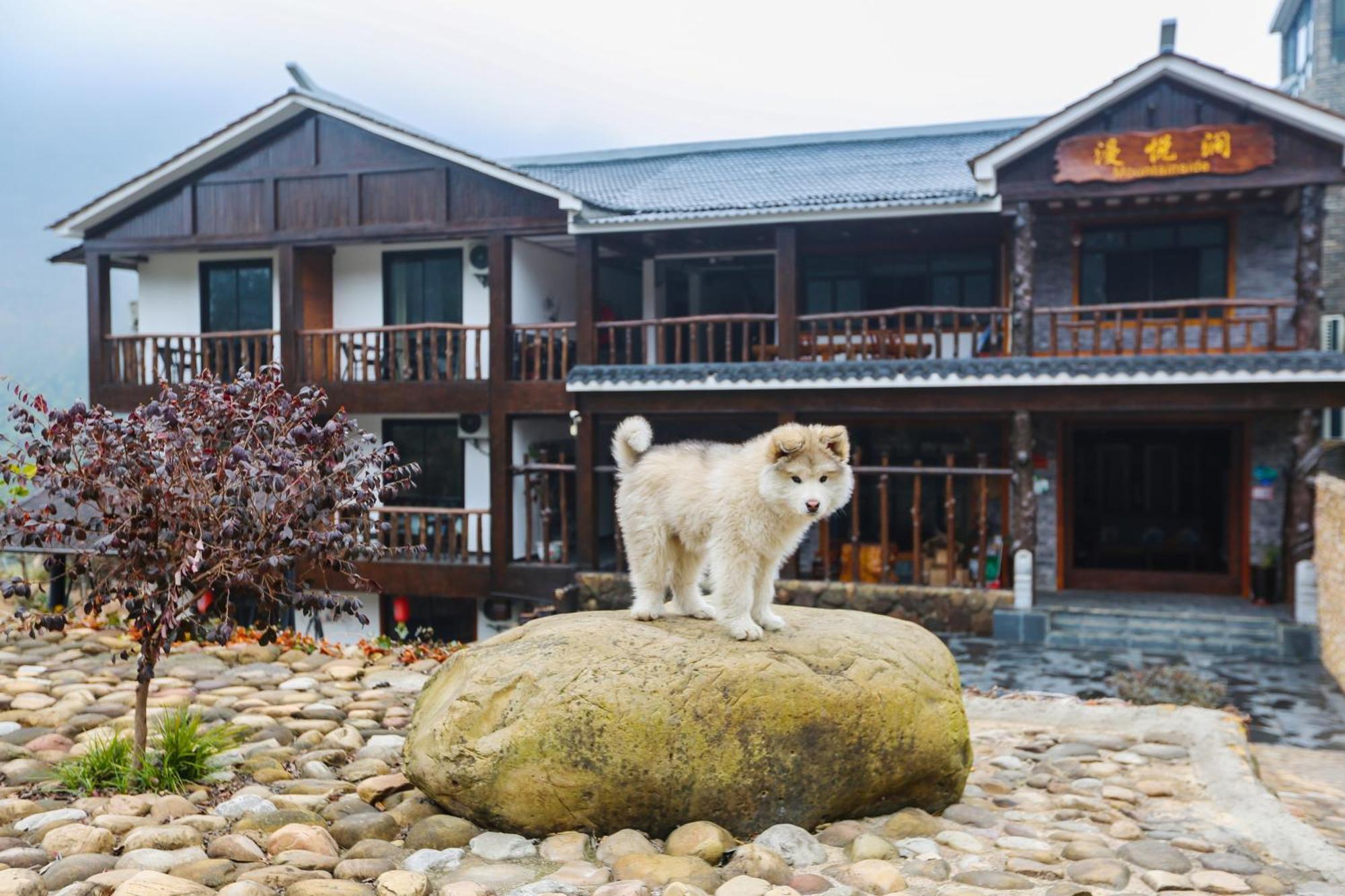 Zhangjiajie Mountainside Exterior photo