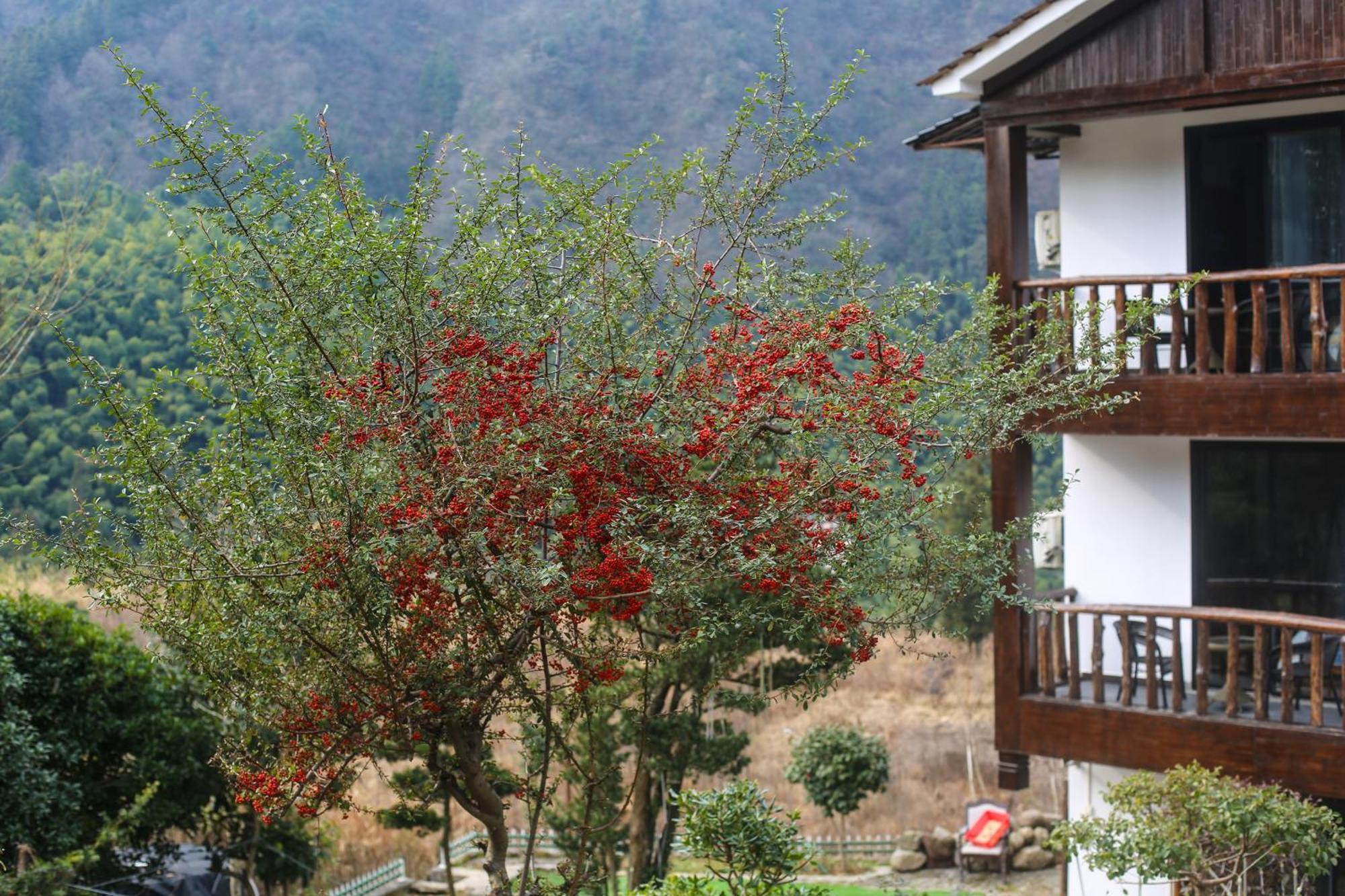 Zhangjiajie Mountainside Exterior photo